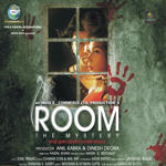 Room The Mystery (2014) Mp3 Songs